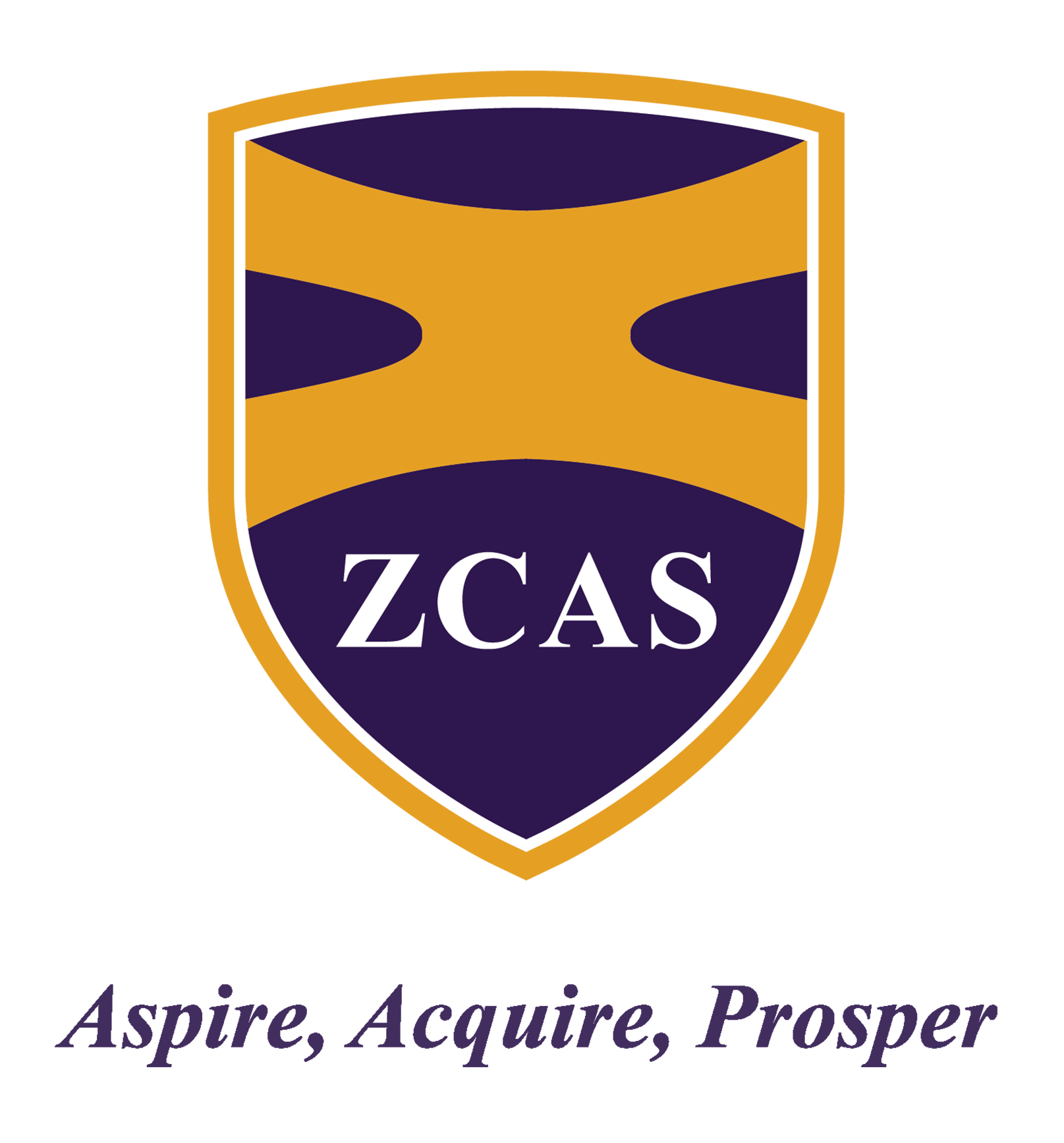 ZCAS Professional Logo